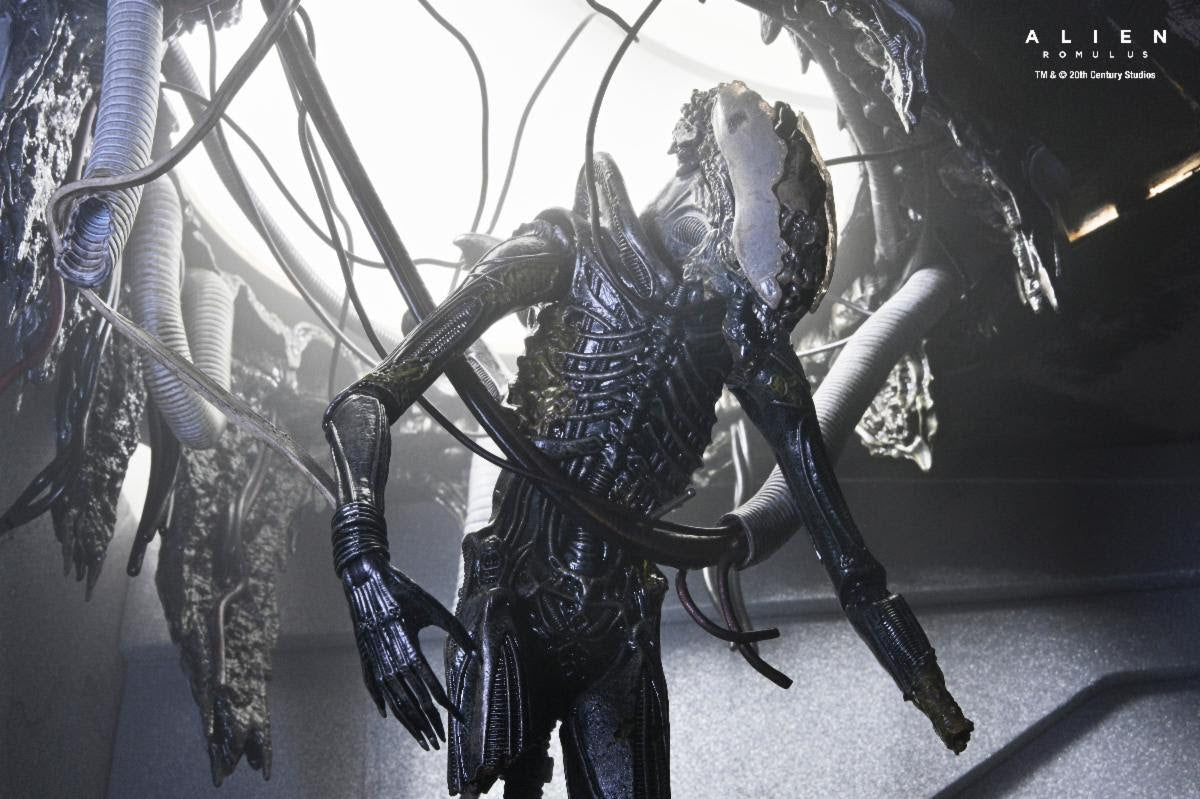 NECA Alien: Romulus Deluxe Suspended Lab Xenomorph XX121、mySite、hgirdovlk