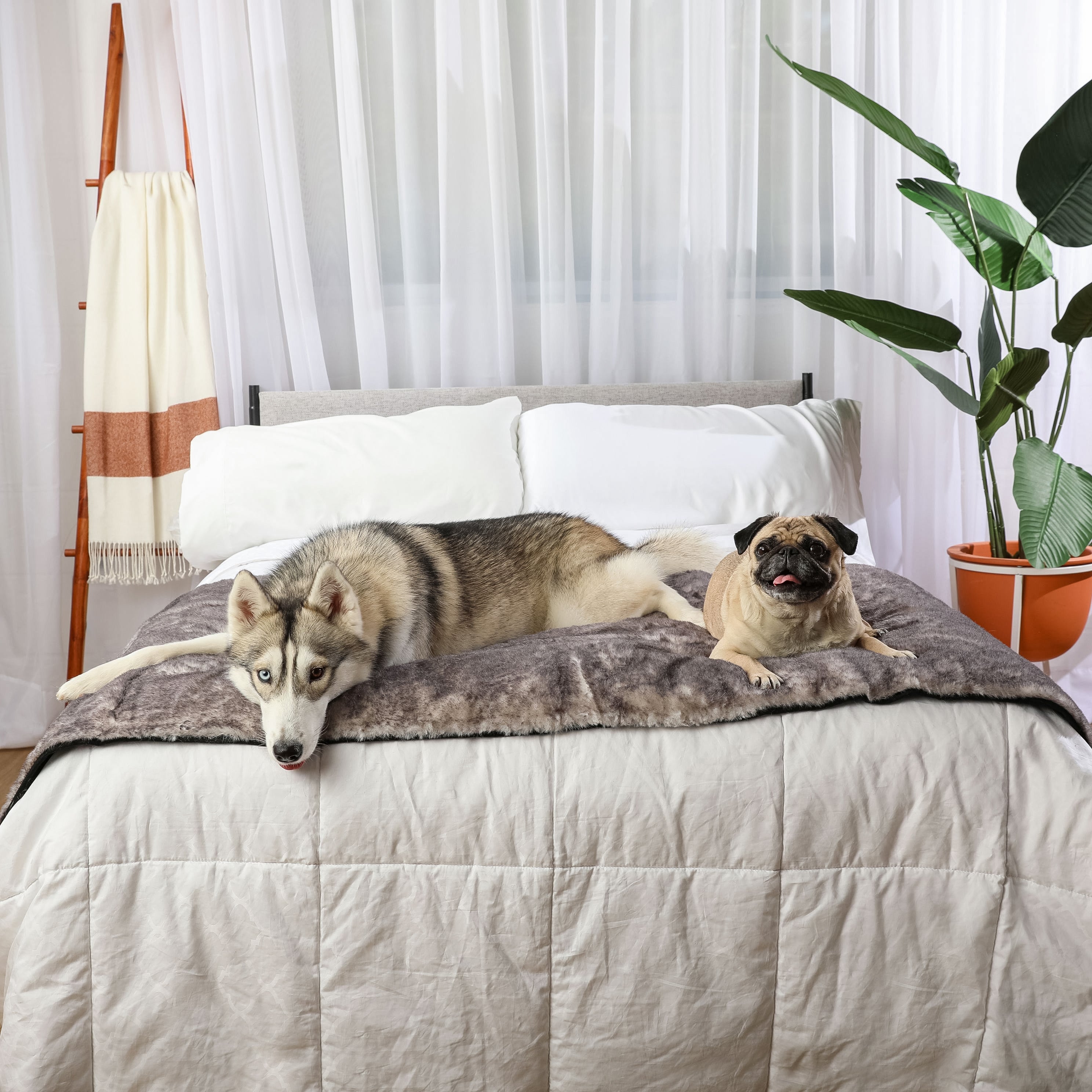 PupProtector™ Luxe Waterproof Bed Runner - Ultra Soft Chinchilla、mySite、solidvoid