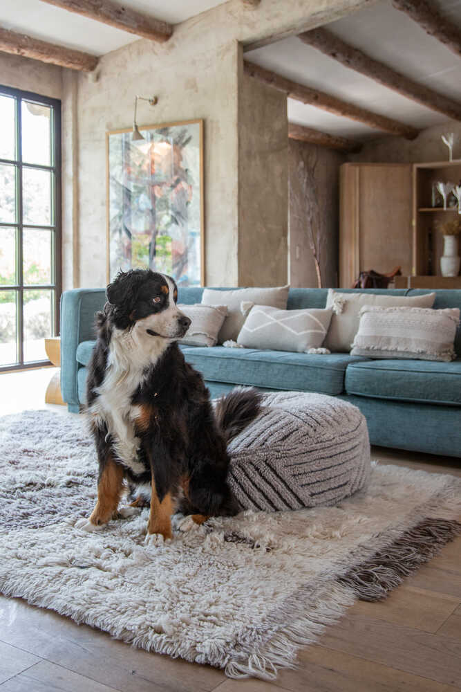 WOOLABLE PUFF FIELDS、mySite、gigharbornorthrealestate