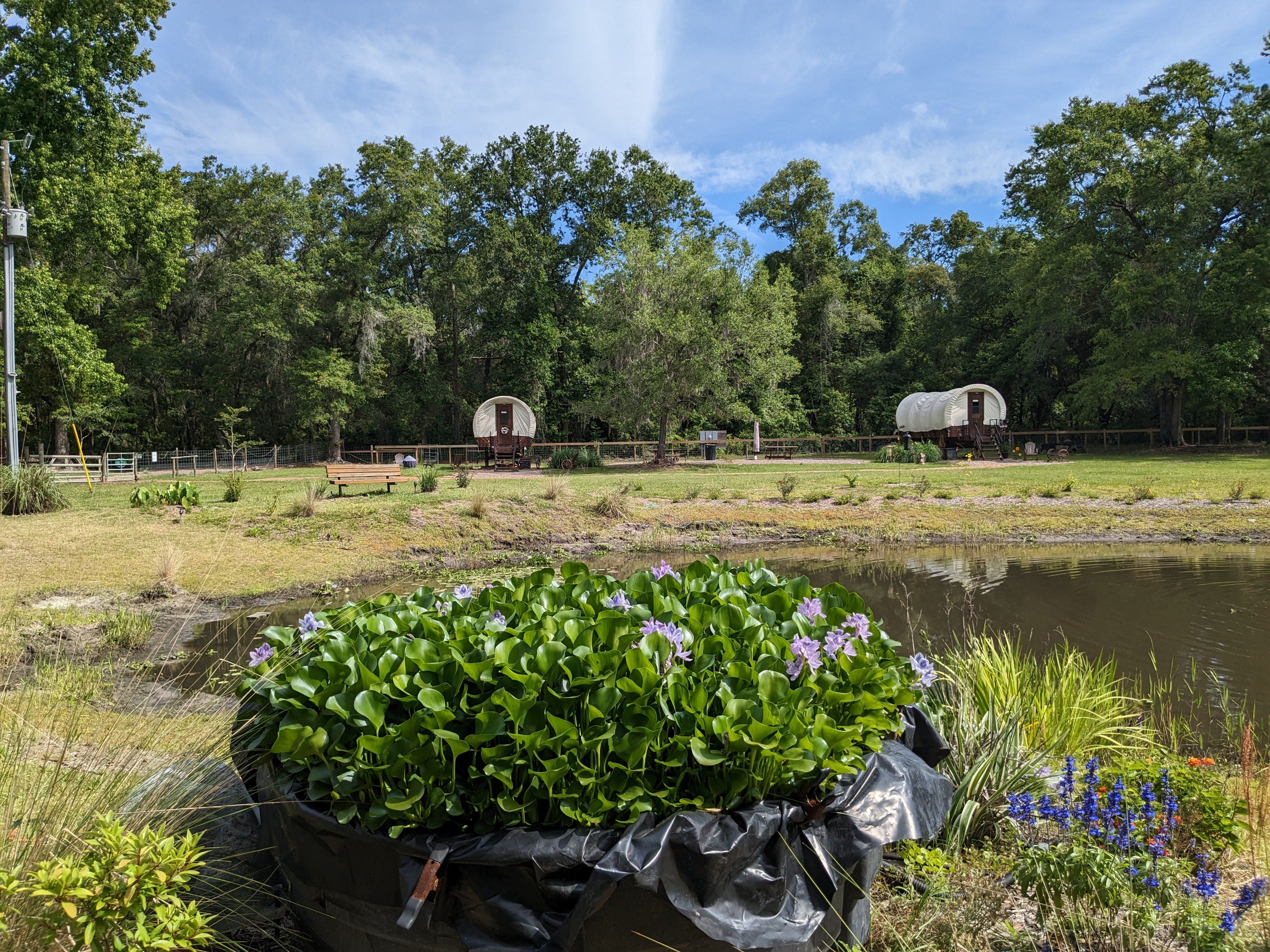 Rooterville Guest Rentals、mySite、g9winljtr