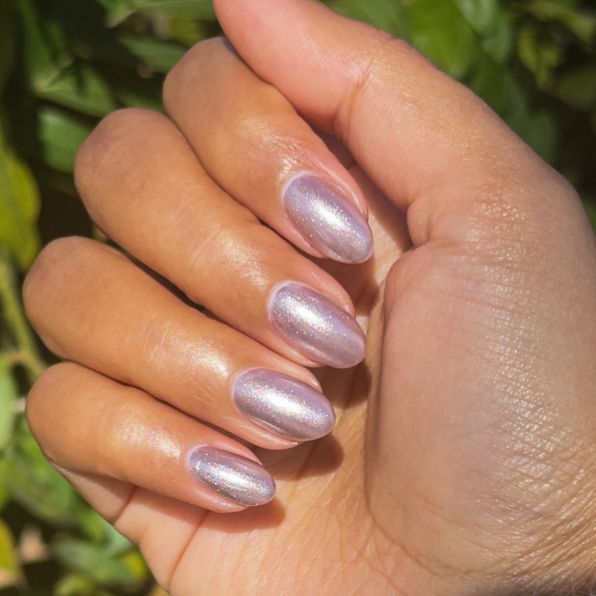 Lavender Velvet、mySite、solidvoid