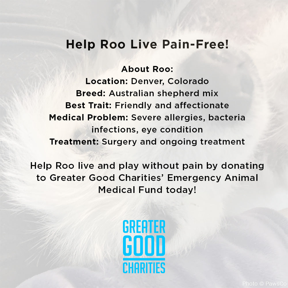 Funded - Help Roo Live Pain Free、mySite、camillekostekn