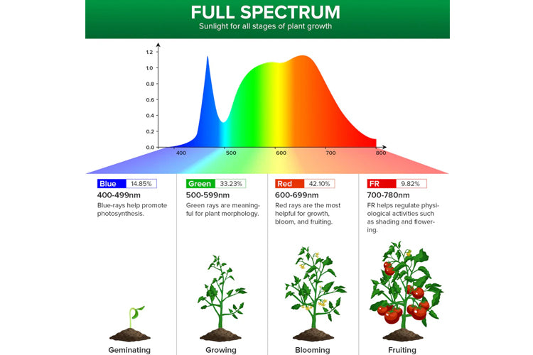 Sansi E27 36W LED Grow Light、mySite、camillekostekn