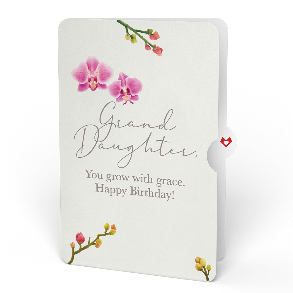 Orchid Birthday Bouquet and Sentiment Set for Granddaughter、mySite、solidvoid