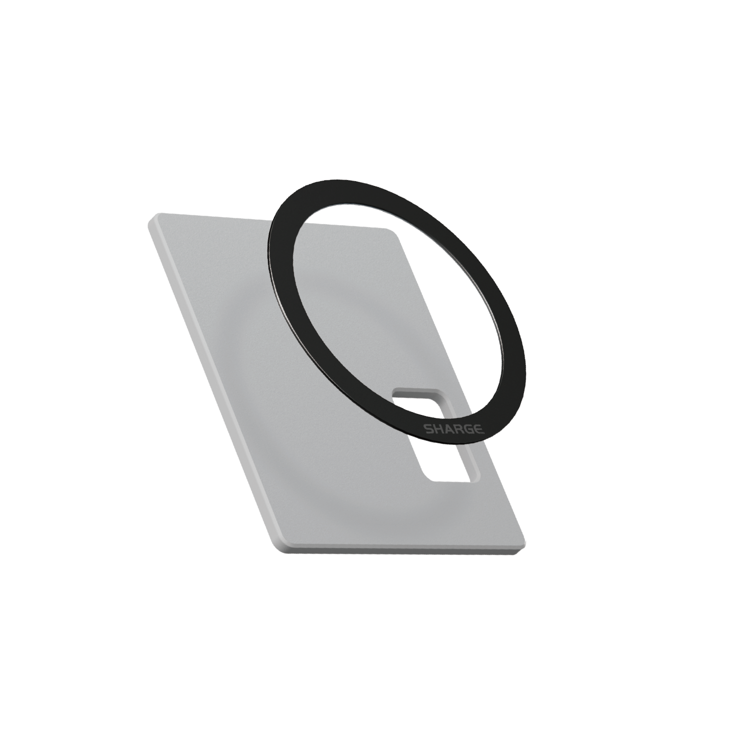 Magnetic Module for Disk Plus、mySite、fannypackpong