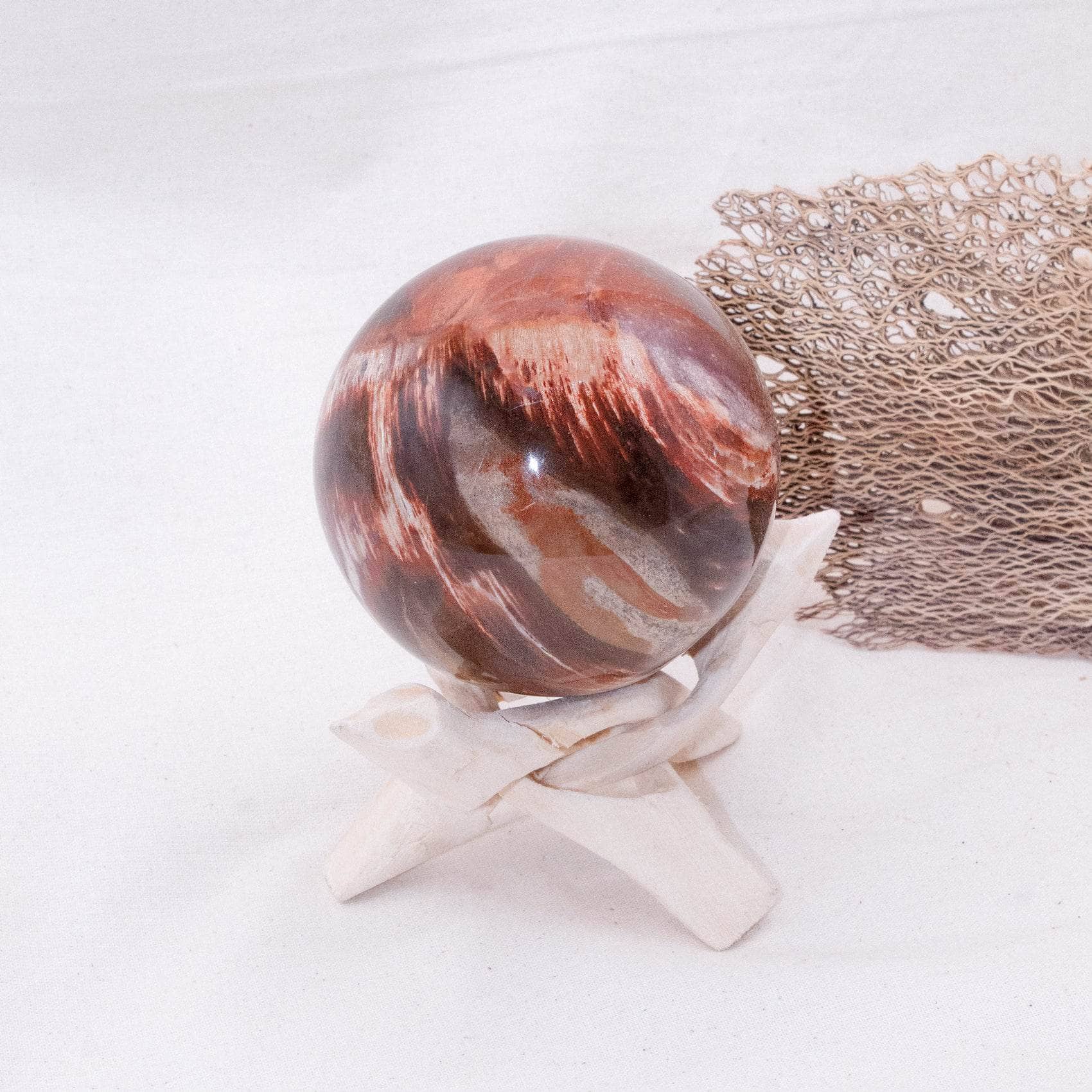Petrified Wood Sphere - AAA Premium Quality、mySite、hinf8tx79
