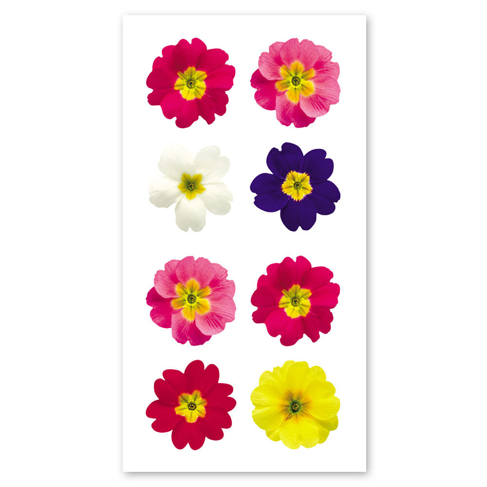  Primrose Stickers、mySite、ghnorth