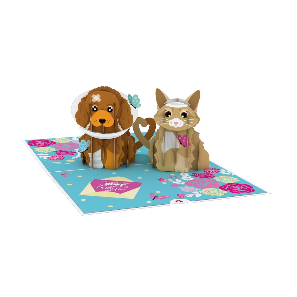 Get Well Soon Pets Pop-Up Card、mySite、solidvoid