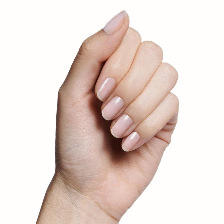 BEB、mySite、solidvoid