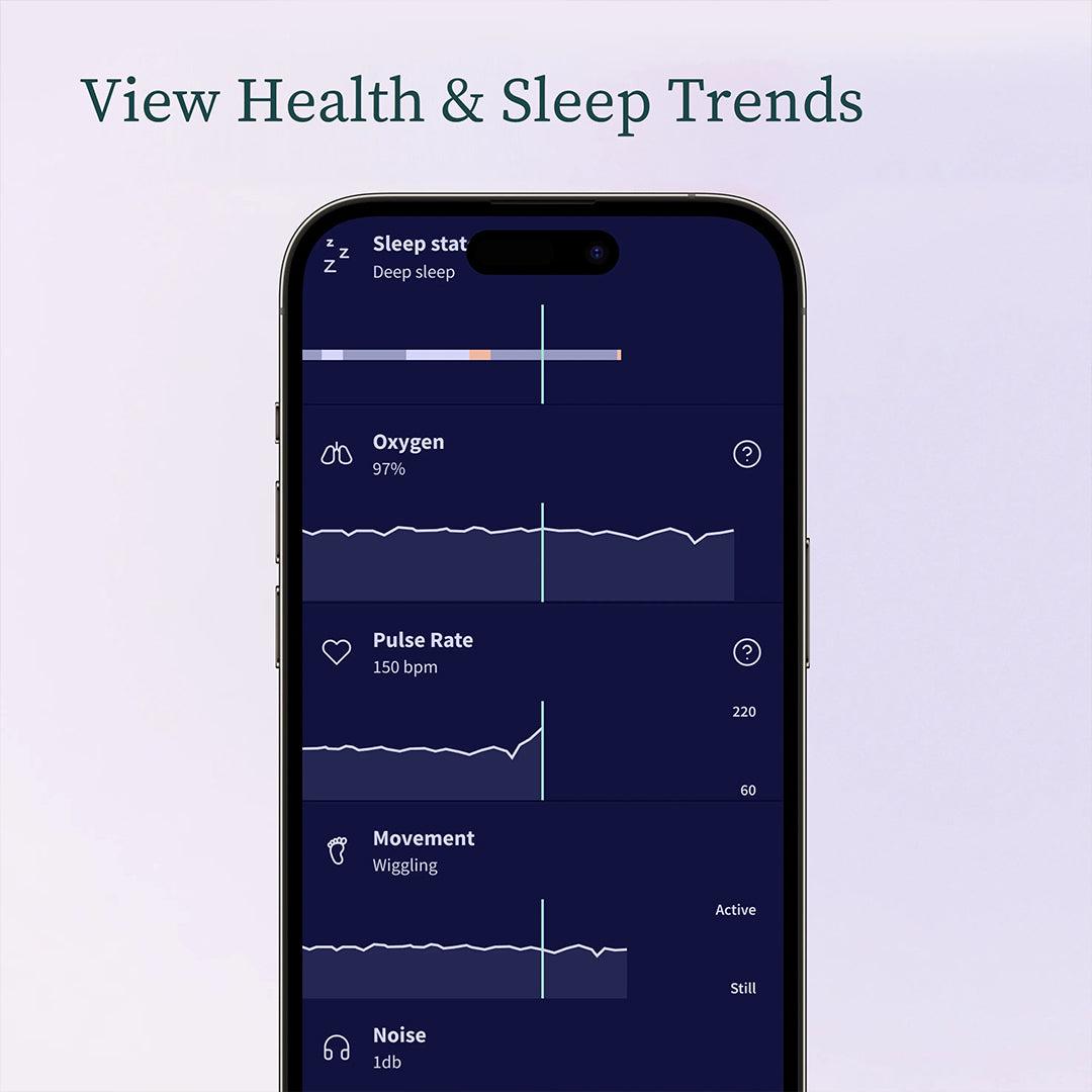  Owlet Dream Sock™ - Mint、mySite、merchandisen