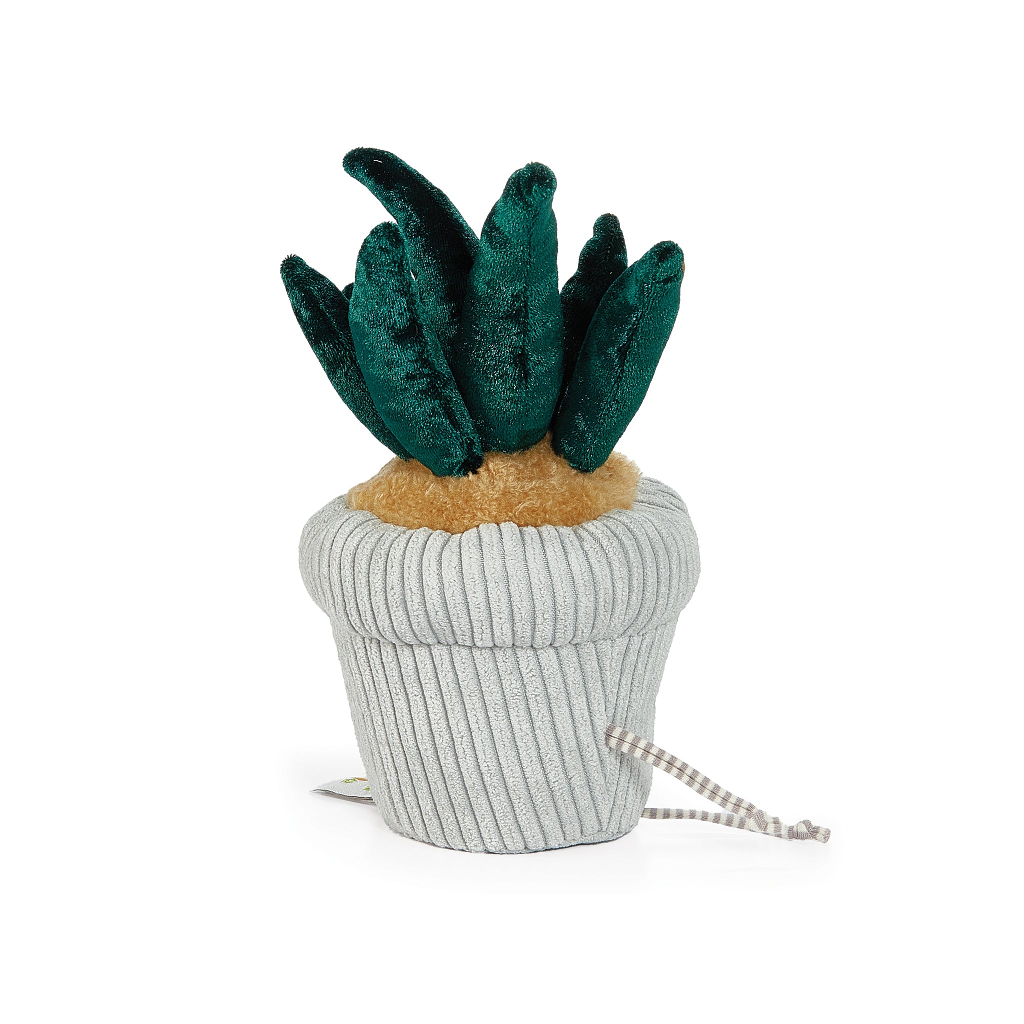 RETIRED - Snake Plant Windowsill Plush、mySite、g9winljtr