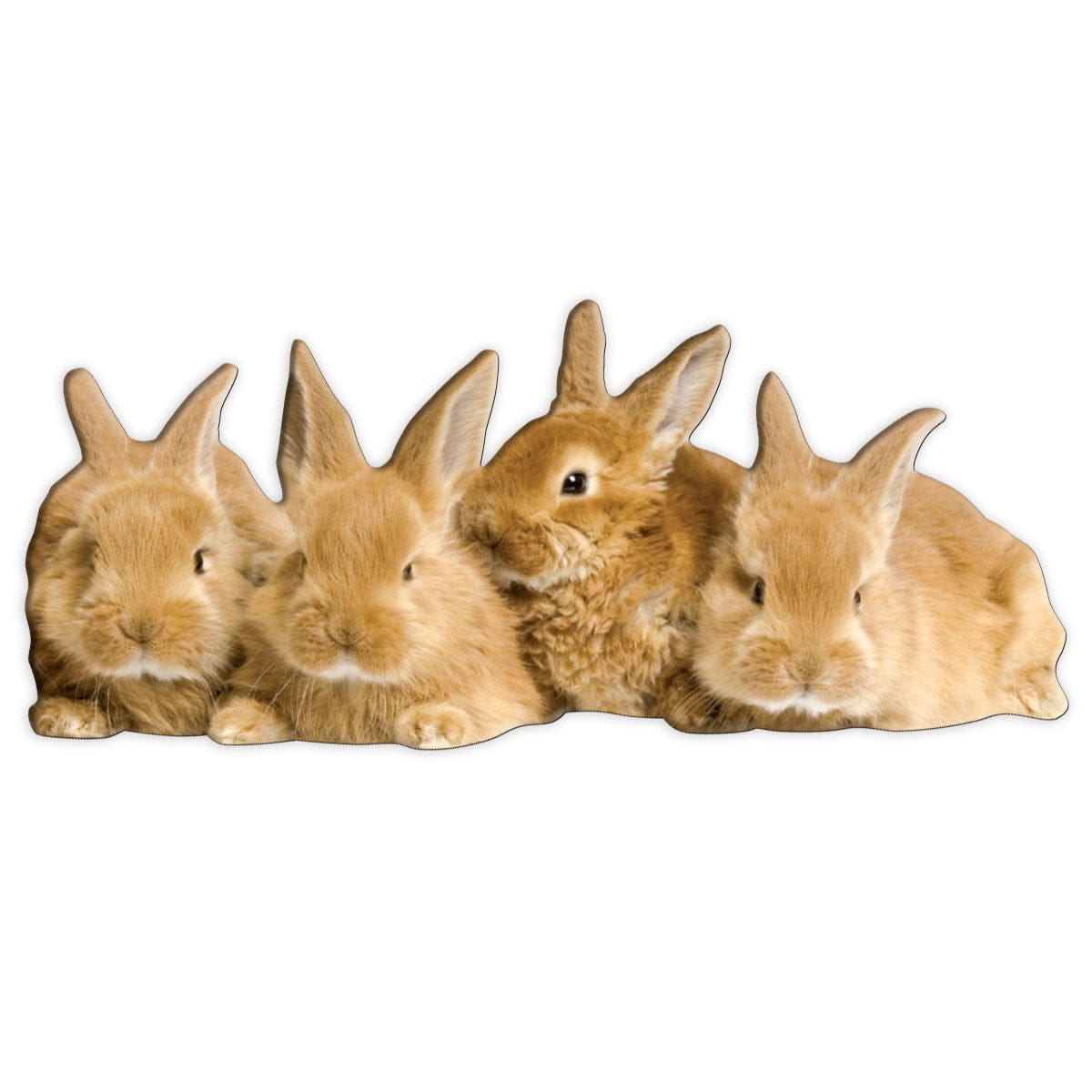  Fridge Magnet - Row of Bunnies、mySite、ghnorth