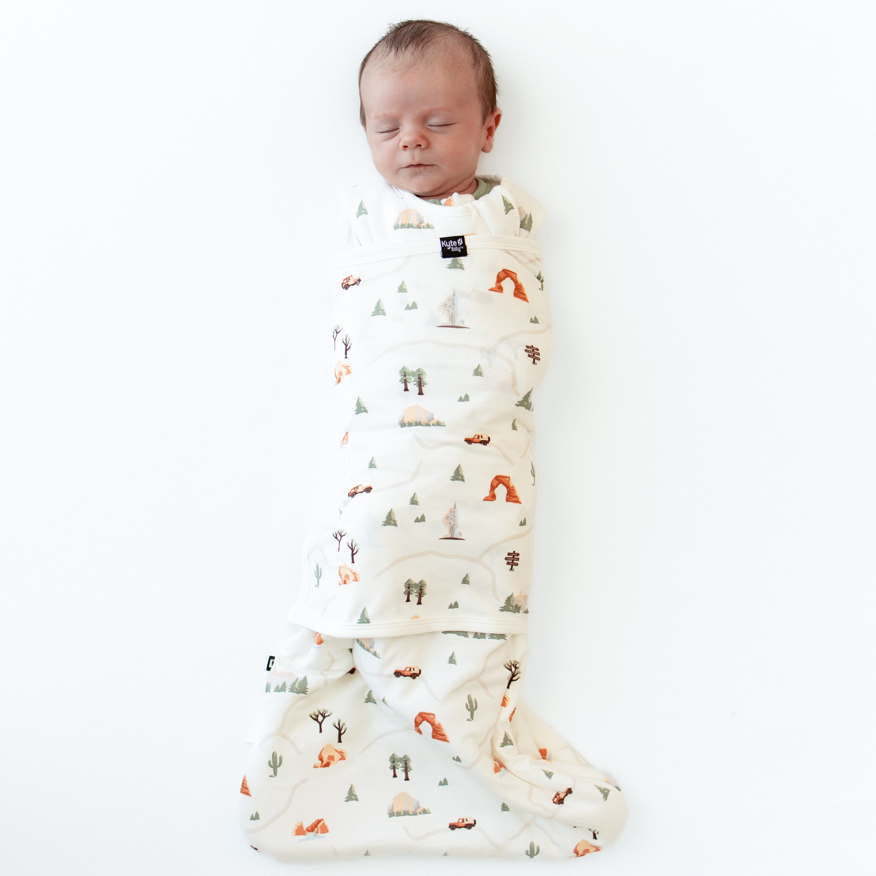  Sleep Bag Swaddler in Road Trip 1.0、mySite、layawaytickets