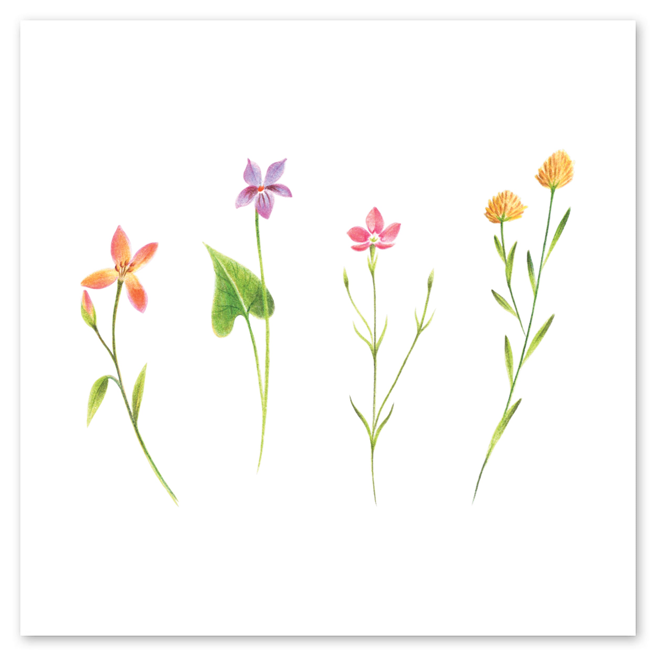  Petite Florals Tattly Temporary Tattoos、mySite、ghnorth