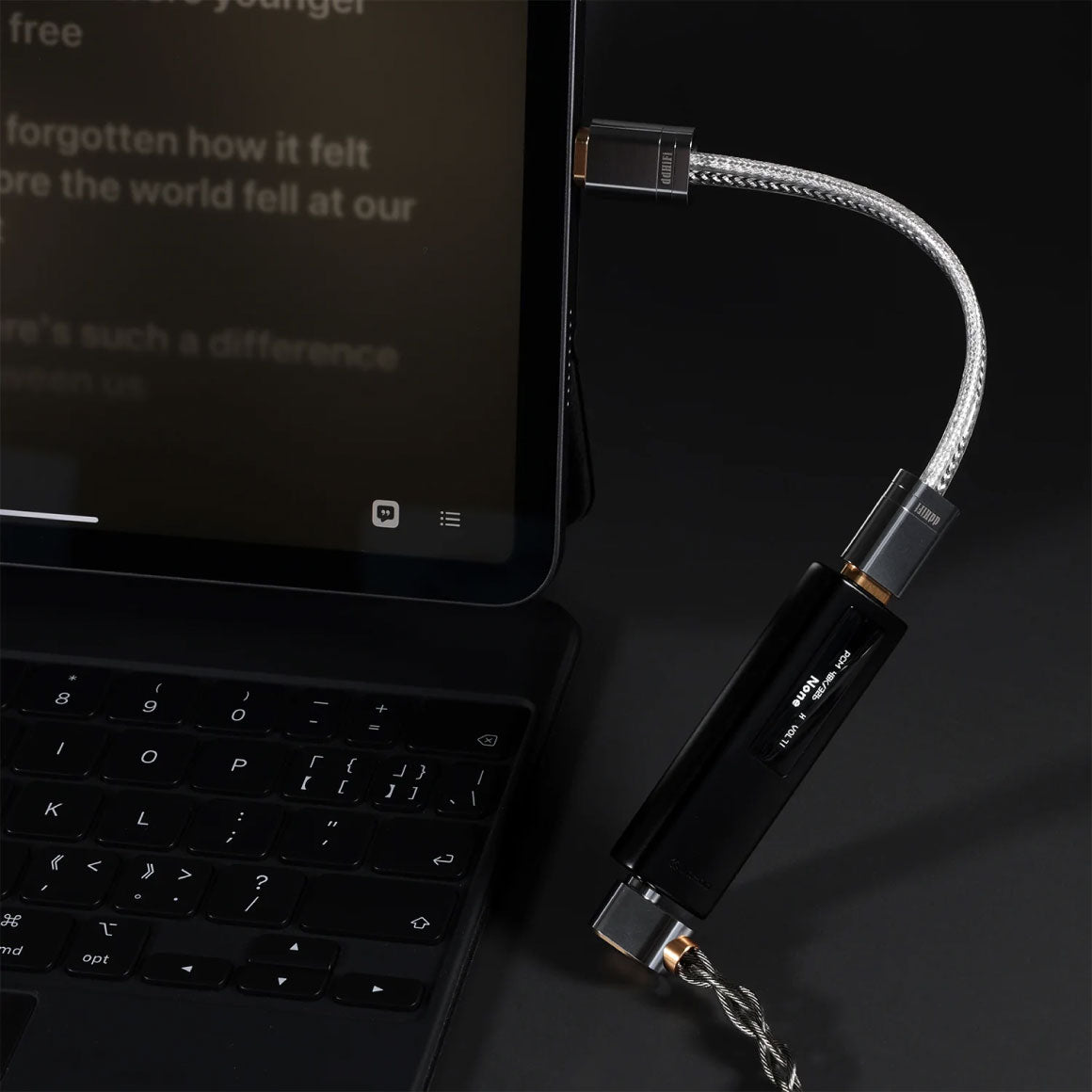 ddHiFi - TC09S USB-C to USB-C OTG Cable、mySite、merchandisen