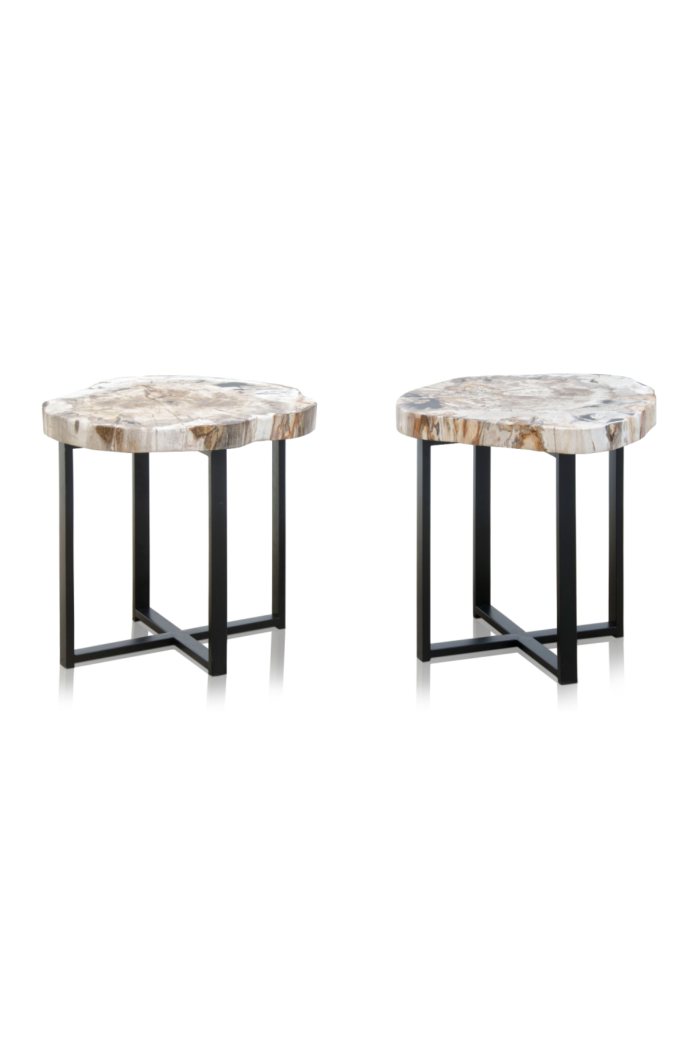 Petrified Wood Coffee Table | Versmissen、mySite、neckold
