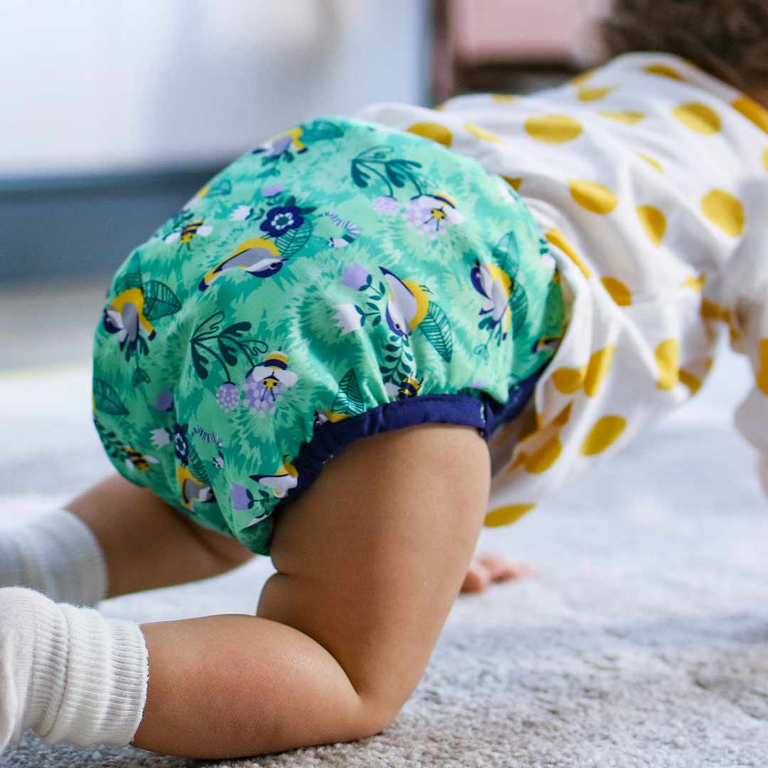  Close Single Aplix Nappy Wrap - Round the Garden、mySite、merchandisen