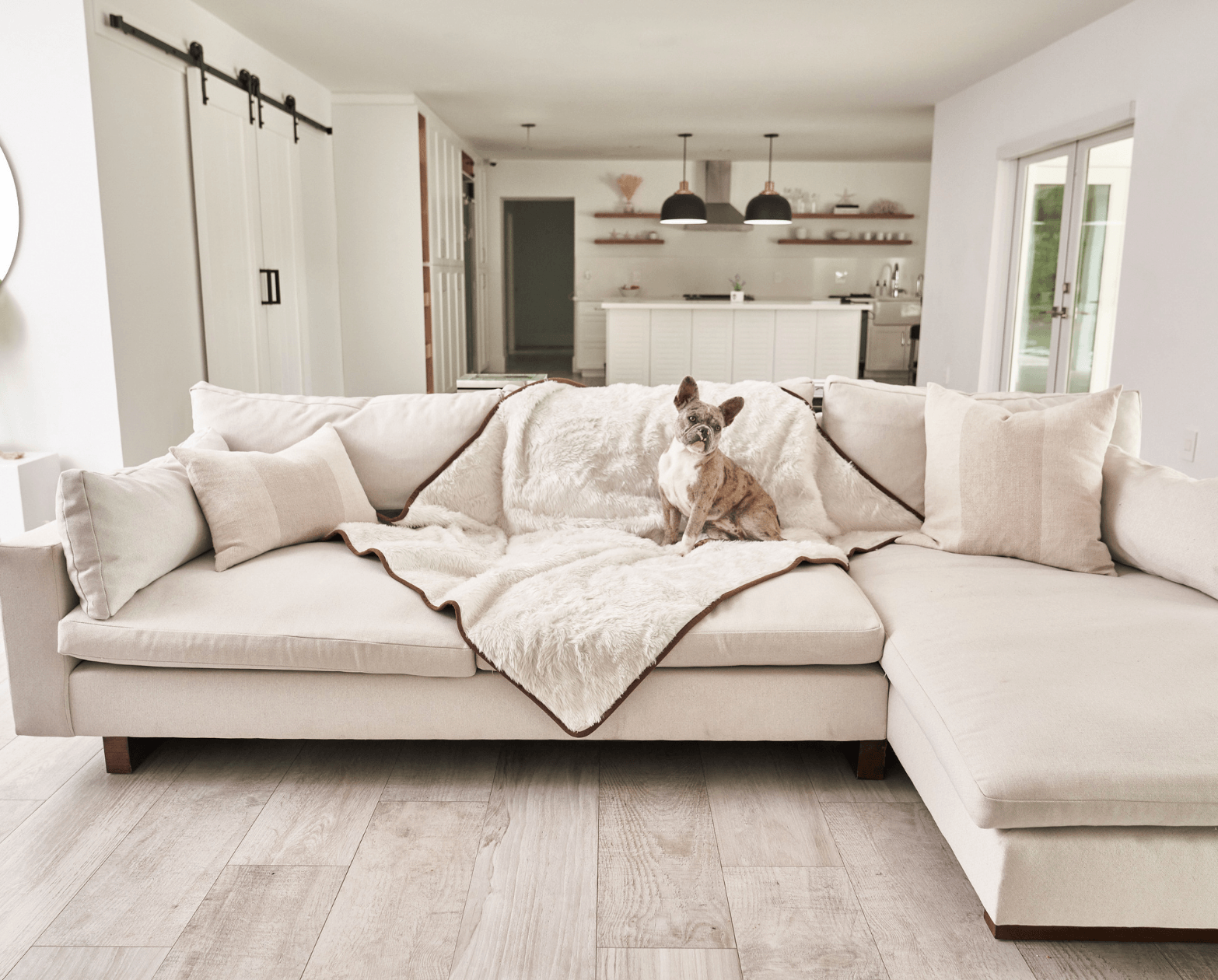 PupProtector™ Summer Short Fur Waterproof Throw Blanket - Polar White、mySite、solidvoid