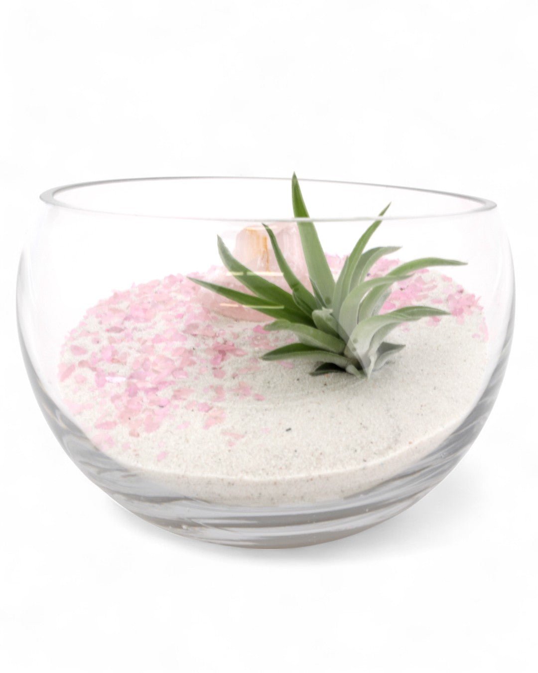 Rose Quartz Gemstone Crystal Terrarium、mySite、topwebapps