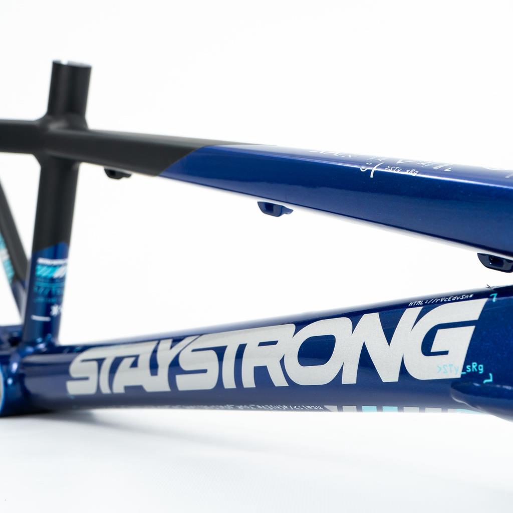  Stay Strong For Life V5 Cruiser Expert XL Frame 2025、mySite、merchandisen