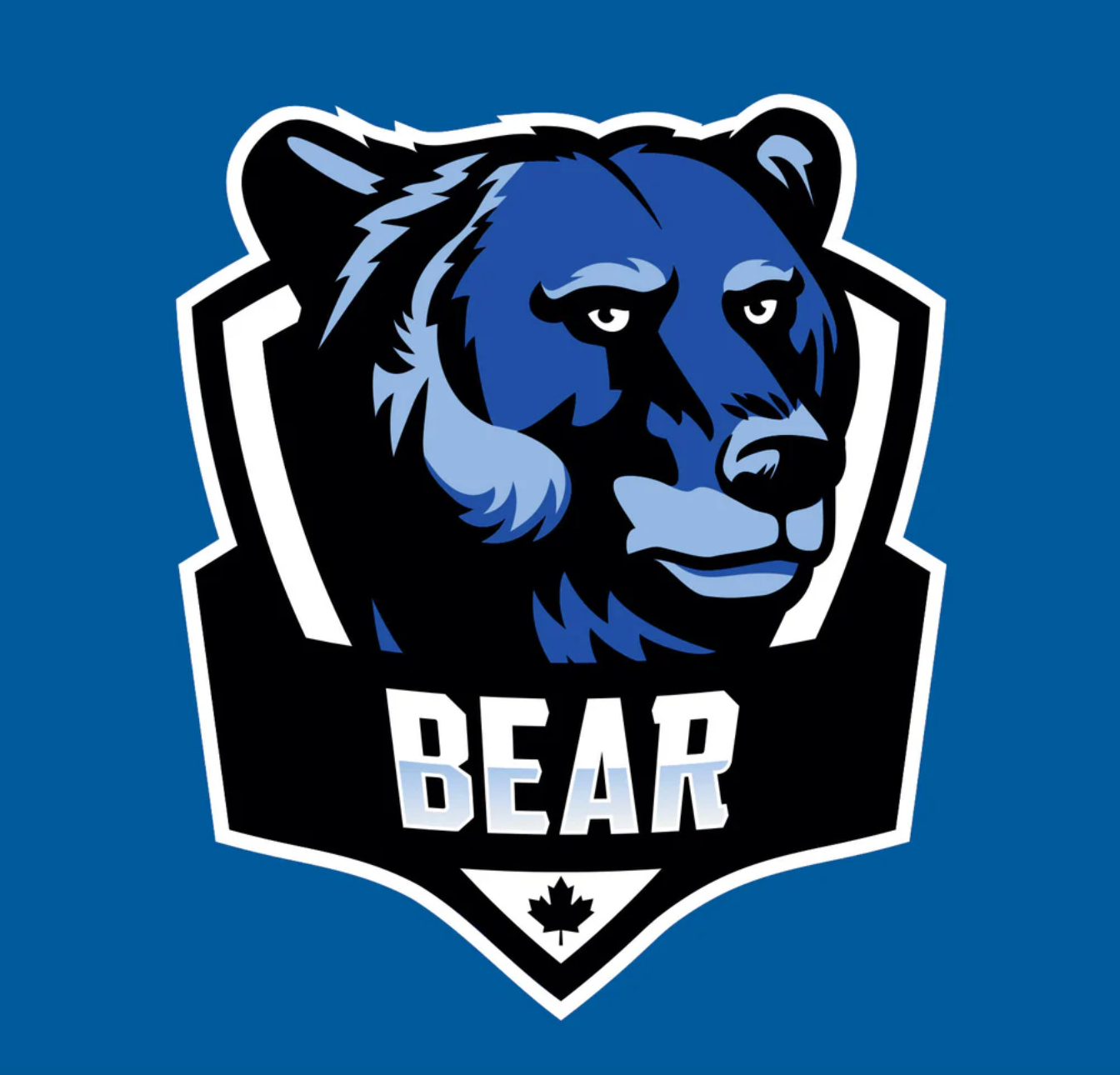 CDNIS Blue Grade 6, 7, & 8 House PE Shirt、mySite、g9winljtr