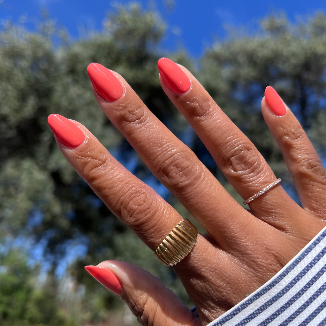 Cape、mySite、solidvoid