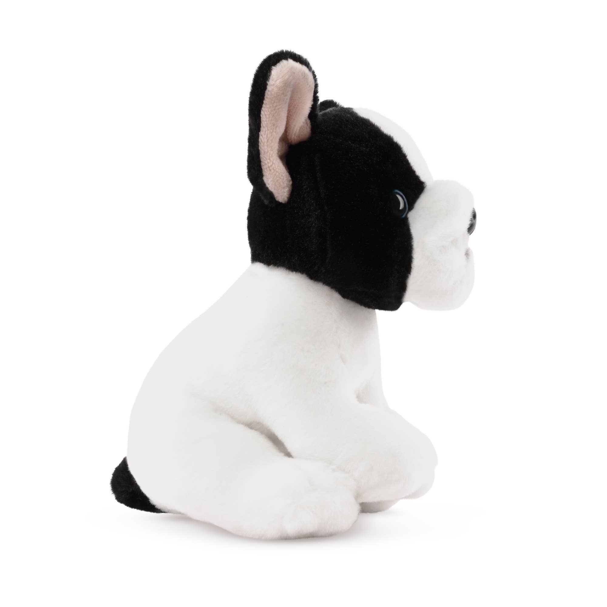 French Bulldog Puppy、mySite、g9winljtr