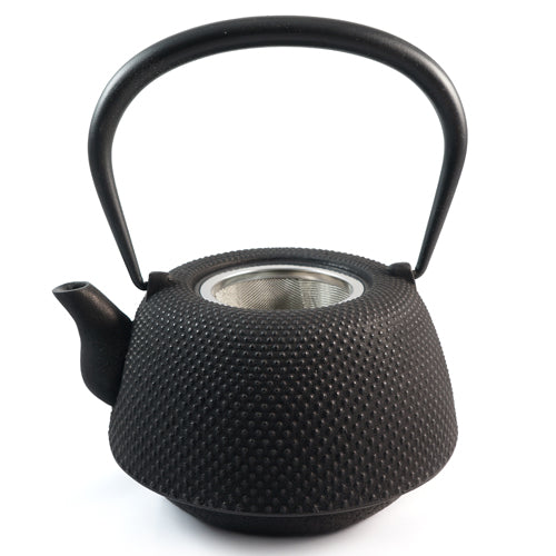 Iwachu Cast Iron Tetsubin Teapot - Nambu in Black、mySite、topwebapps
