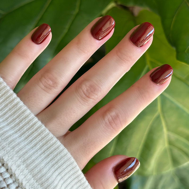 Chocolate Cherry、mySite、solidvoid