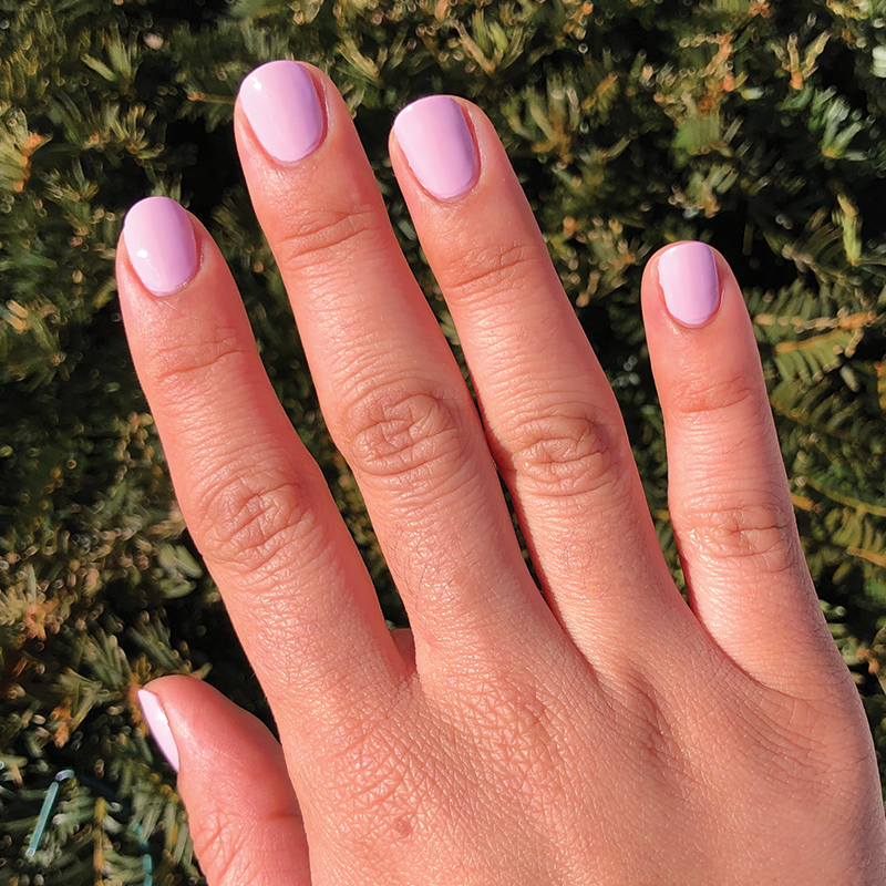 Cockatoo、mySite、solidvoid