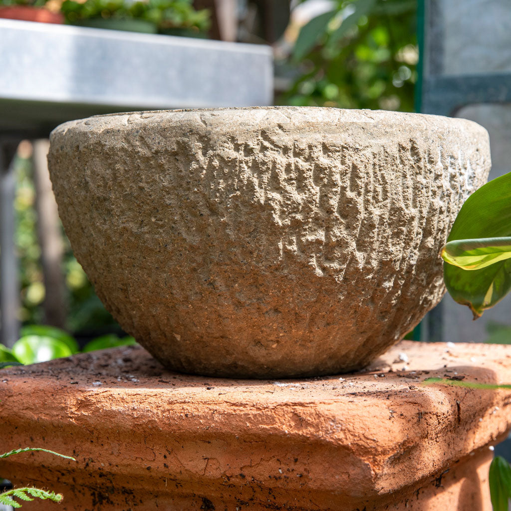 Lotus and Buddha Feet Birdbath、mySite、topwebapps