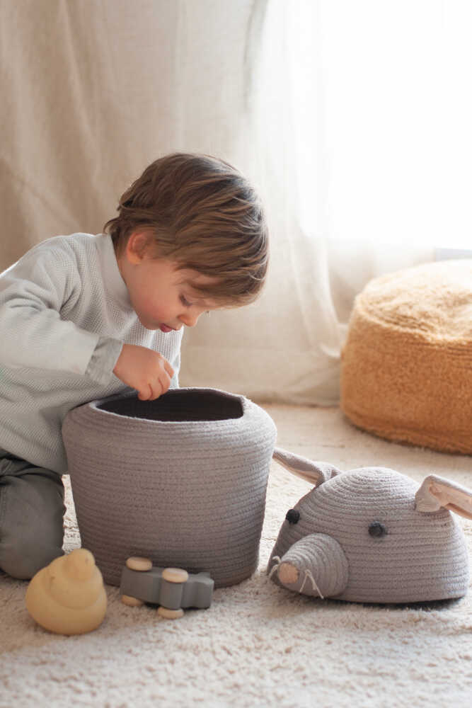 STORAGE BASKET RENATA THE RAT、mySite、gigharbornorthrealestate