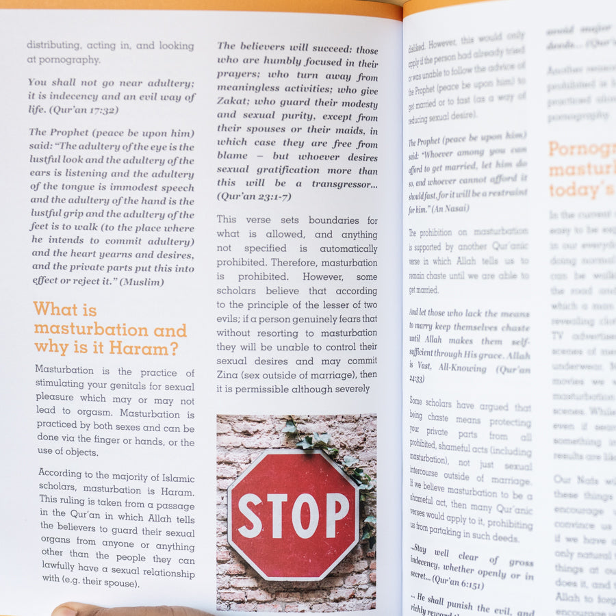 An Introduction to Challenging Topics for Young Muslims Book 2、mySite、topwebapps