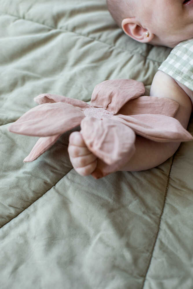 RATTLE TOY LILY POND、mySite、gigharbornorthrealestate