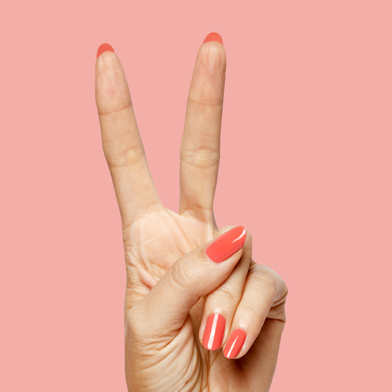 Field Day - Gel、mySite、solidvoid