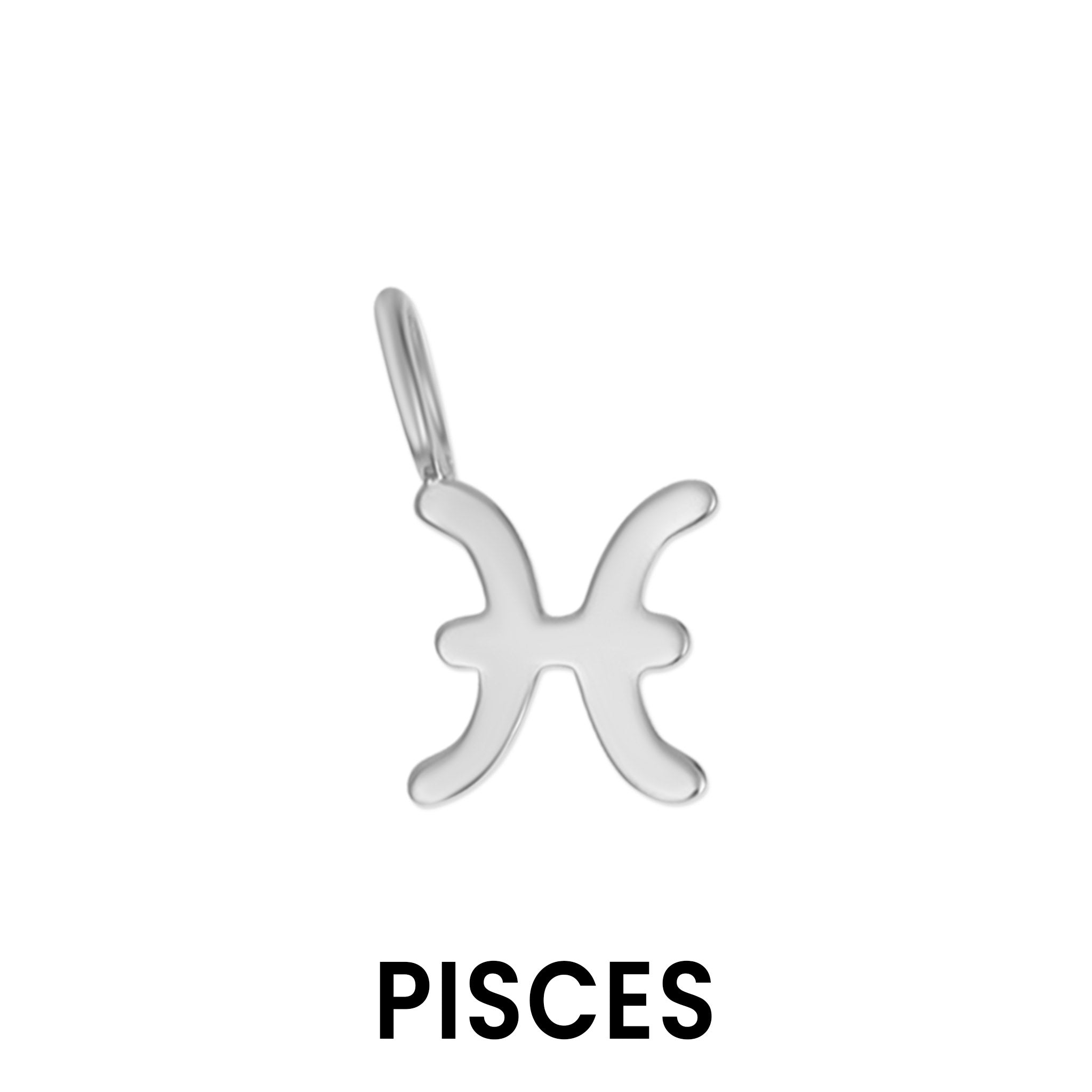 Permanent Jewelry .925 Sterling Silver Zodiac Charms / PMJ3011、mySite、dreamappss