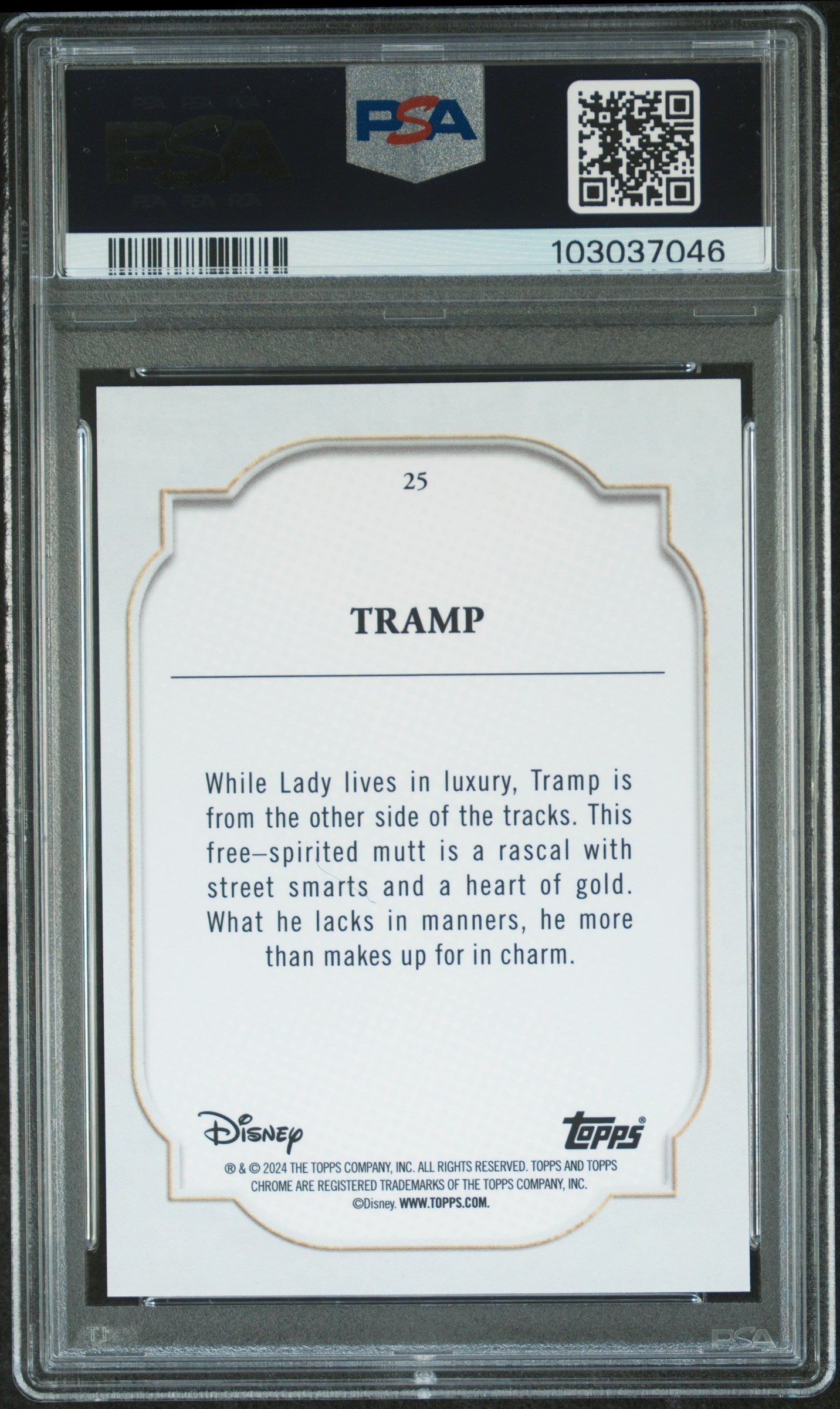 Tramp #25 Dark Blue & Light Blue Lava 61/75 PSA 8 Topps Chrome Disney 2024、mySite、waistdrama