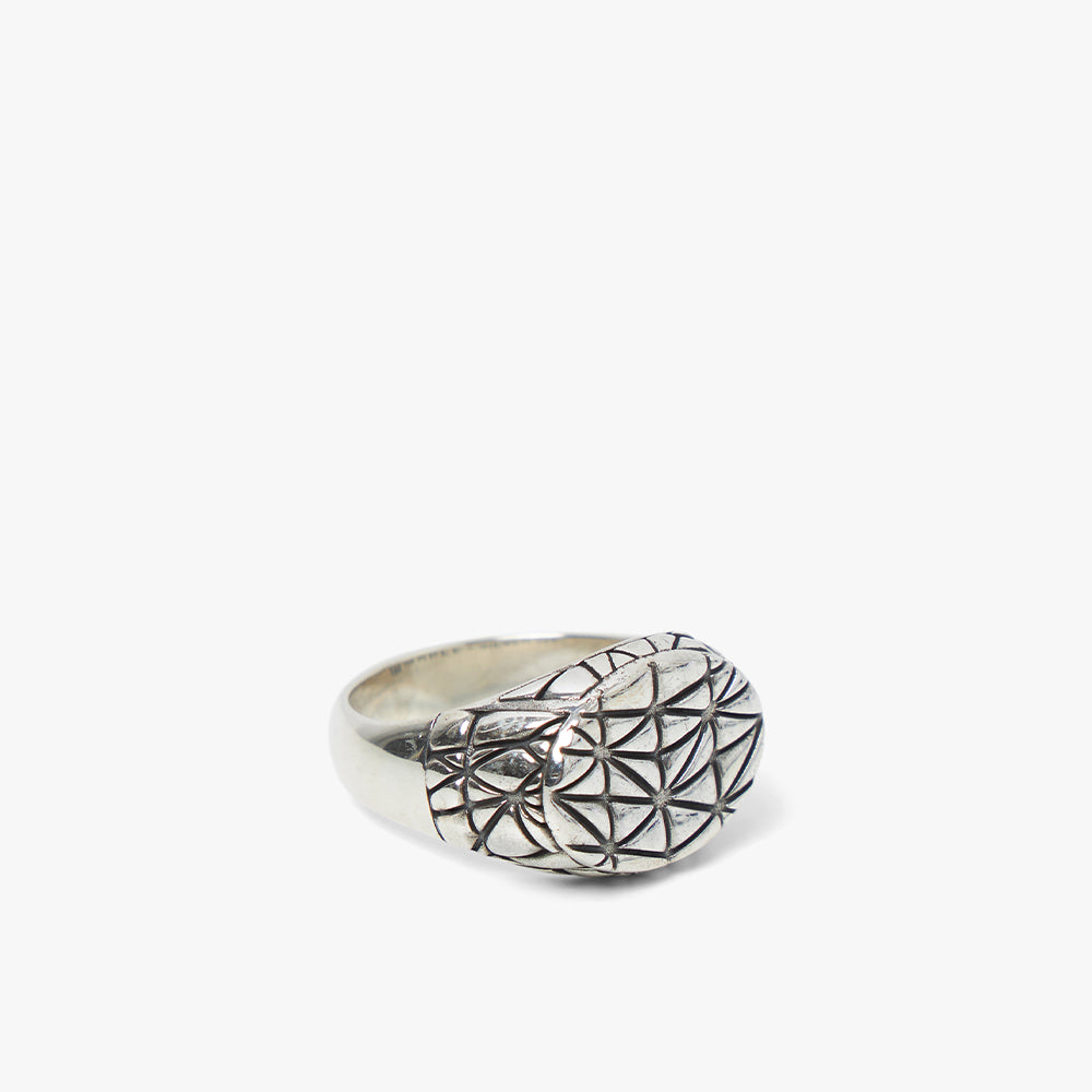  MAPLE Mccourt Signet Ring / Silver .925、mySite、merchandisen