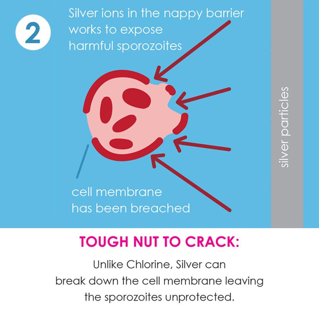  Splash About Happy Nappy Duo - Sunny Bear、mySite、merchandisen