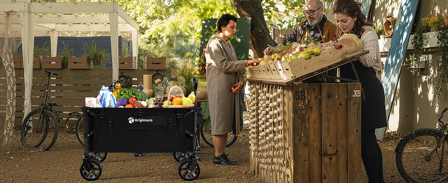 takes me grocery shopping and carry my groceries easier