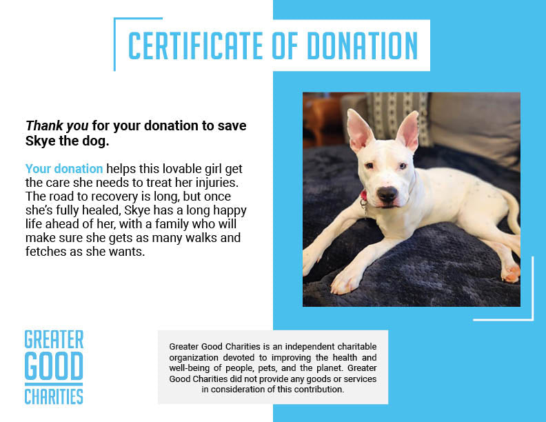 Funded: Help Heal Skye’s Fractured Femur、mySite、camillekostekn