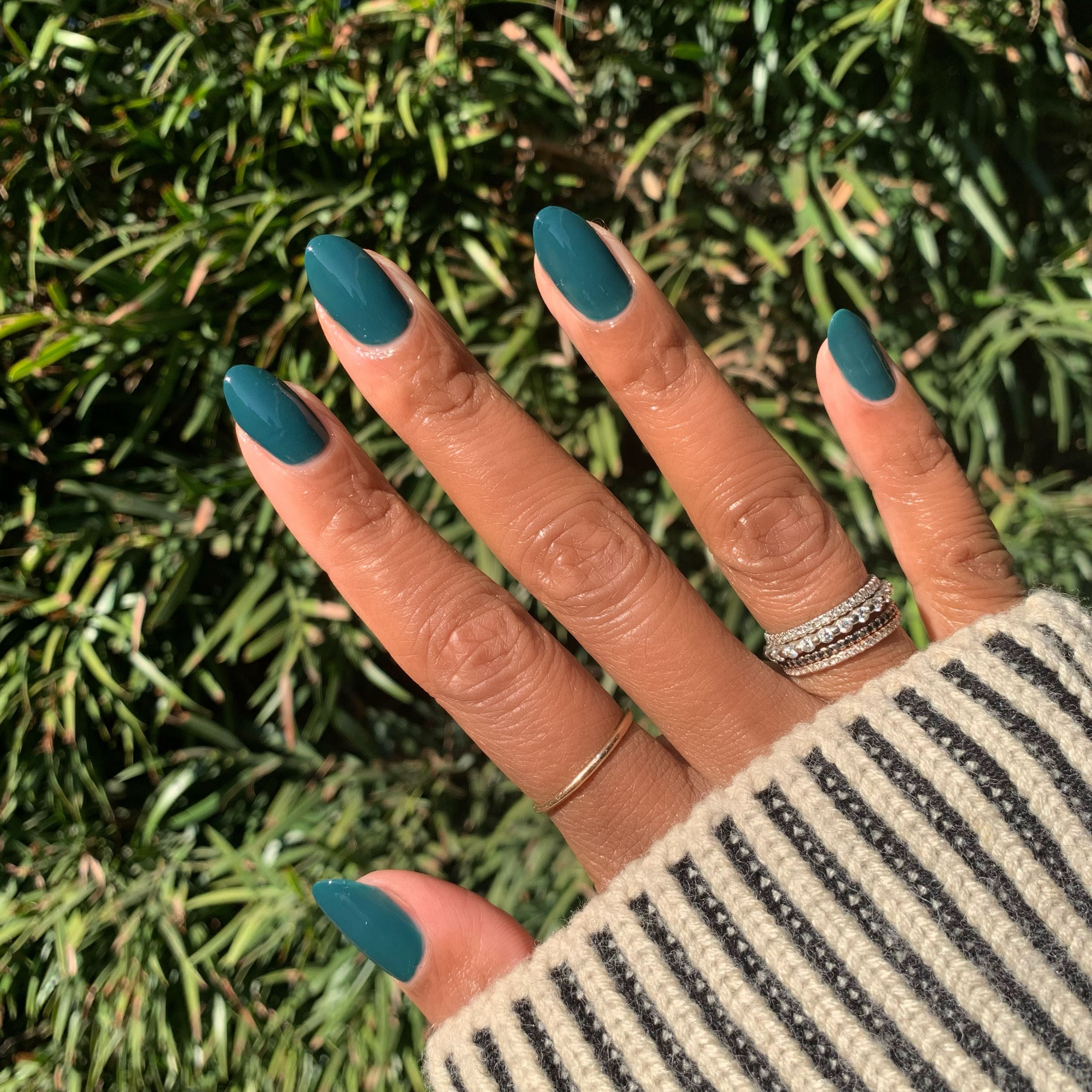 Into the Trees、mySite、solidvoid