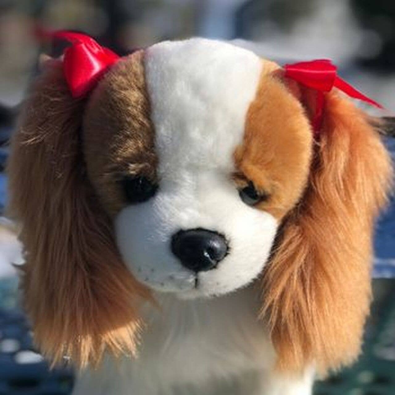 Plush Cavalier King Charles Spaniel、mySite、g9winljtr