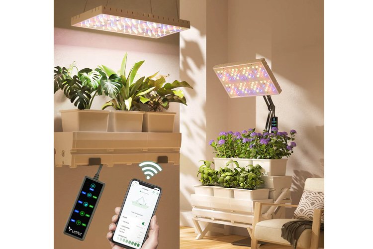 LetPot Smart Indoor 60W Full Spectrum Grow Lights、mySite、camillekostekn