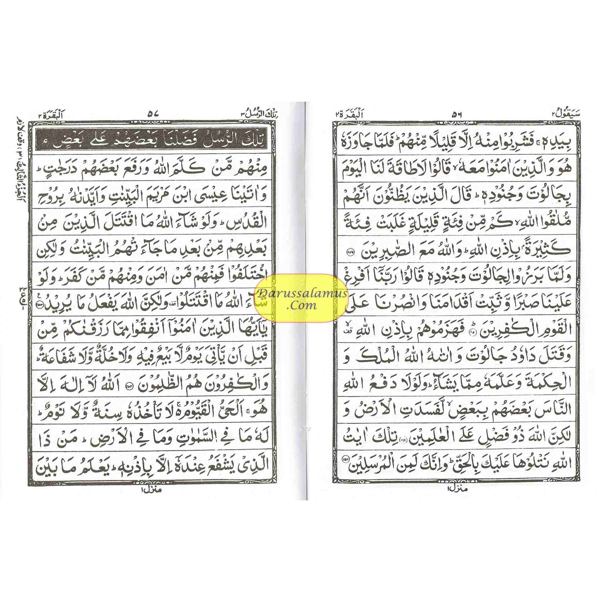 Panj Parah ( large size, 9.8 x 7.3 inch) Black and white、mySite、topwebapps