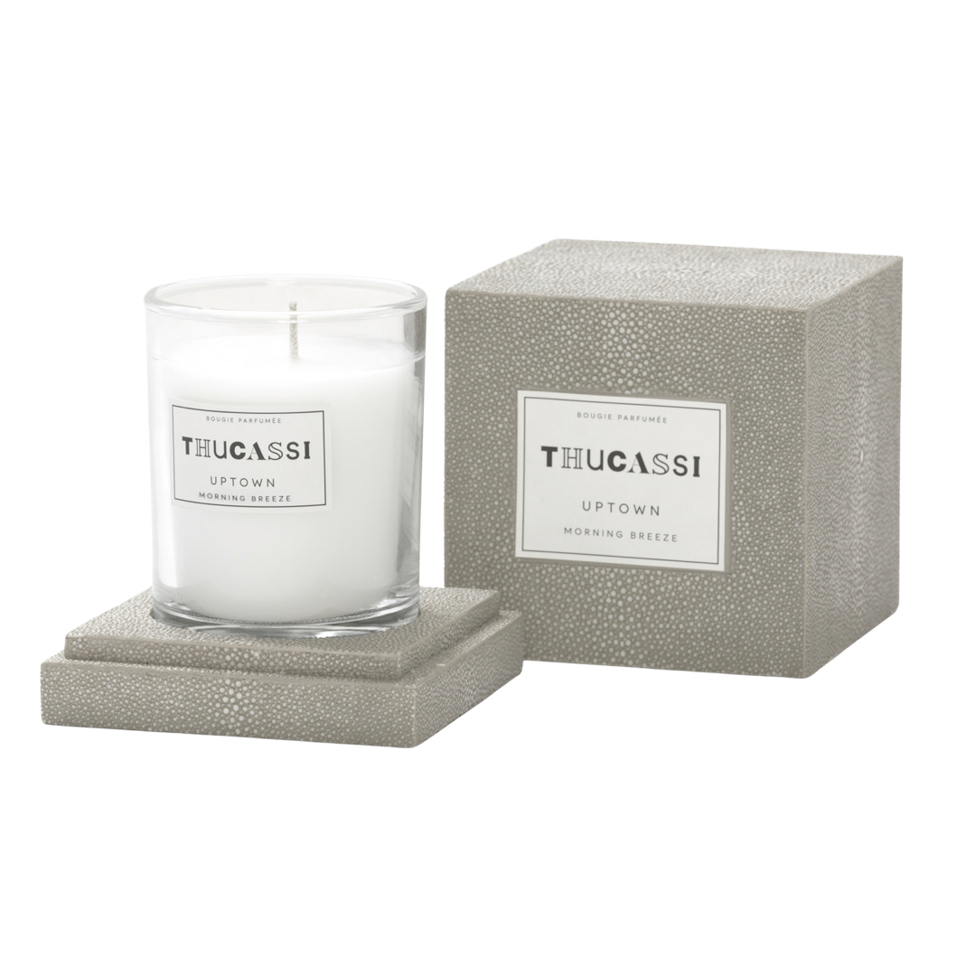  Thucassi Uptown Morning Breeze Shagreen Candle Box、mySite、elrpsem3k