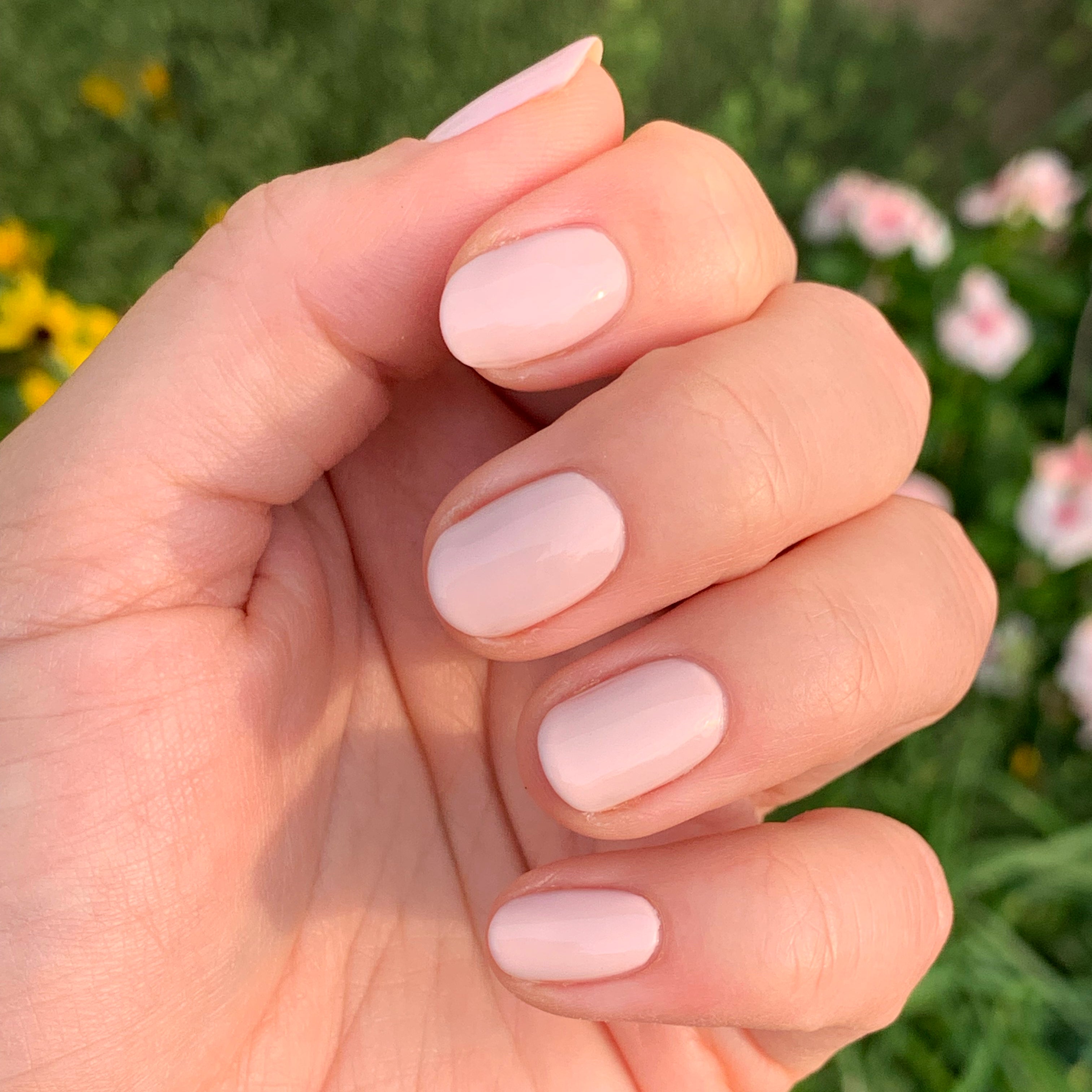 Point Dume、mySite、solidvoid