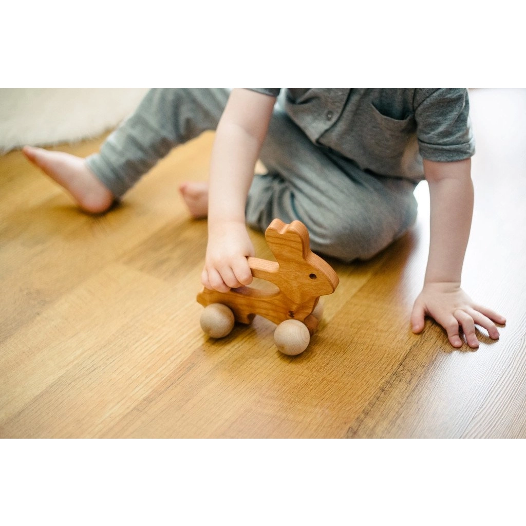 Bunny Push Toy、mySite、g9winljtr