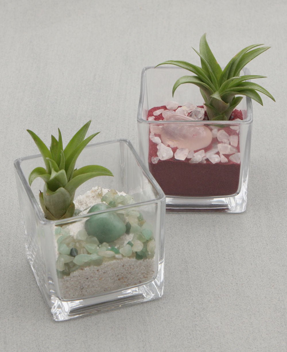 Gemstone Intention Terrarium with Air Plant、mySite、topwebapps
