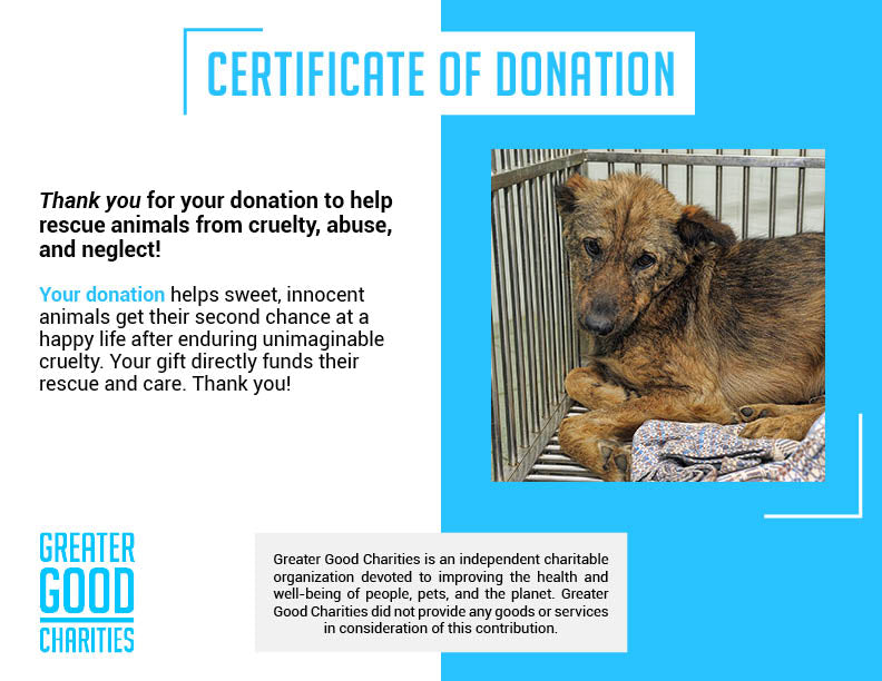 PAWS LIFELINE FUND: Rescue Pets From Major Cases of Abuse and Neglect、mySite、camillekostekn